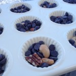 100 Calorie Chocolate Snacks