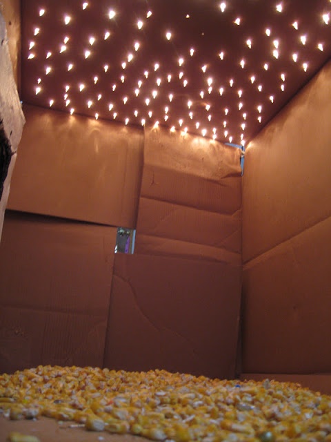 Box Fort with Lights