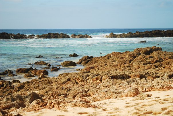 Shark Cove Snorkeling
