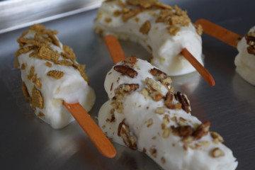 Frozen Yogurt Dipped Bananas
