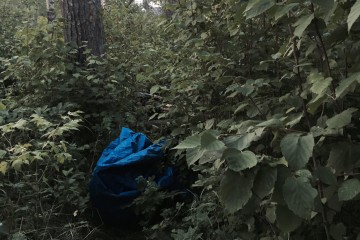 Geocaching in the Urban Forest