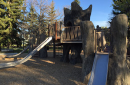 Fall Activities for Kids Edmonton