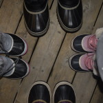 The Shoe Company