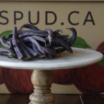Spud.ca Edmonton Coupon Code