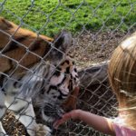 Discovery Wildlife Park