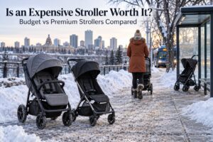 Is an Expensive Stroller Worth It? Budget vs Premium Strollers Compared